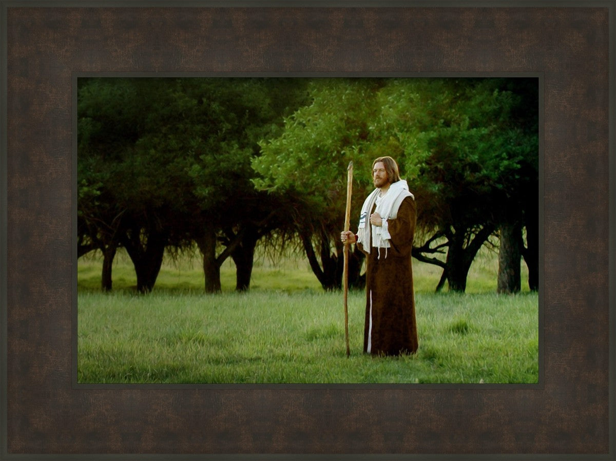 Lord Of The Vineyard