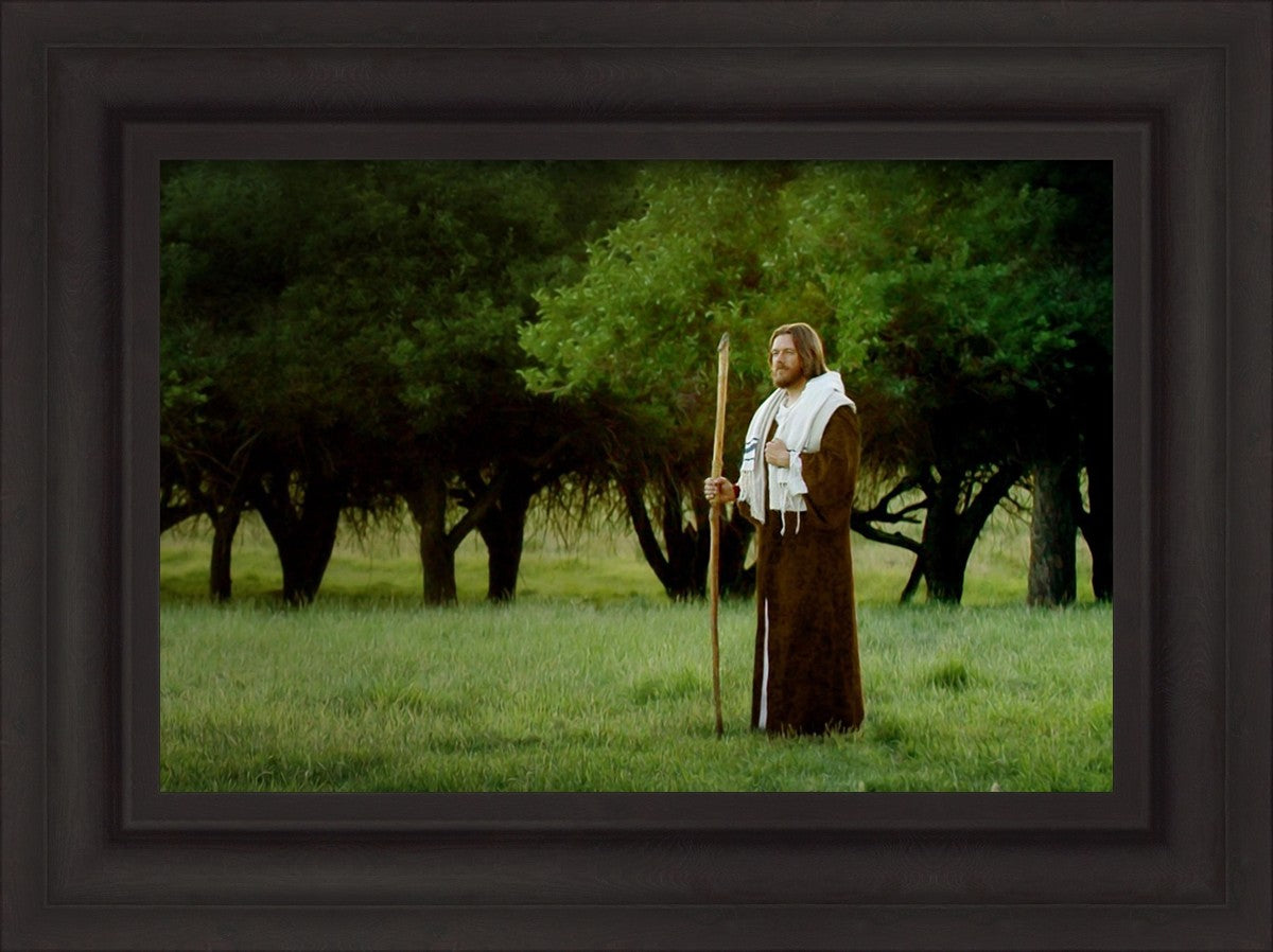 Lord Of The Vineyard