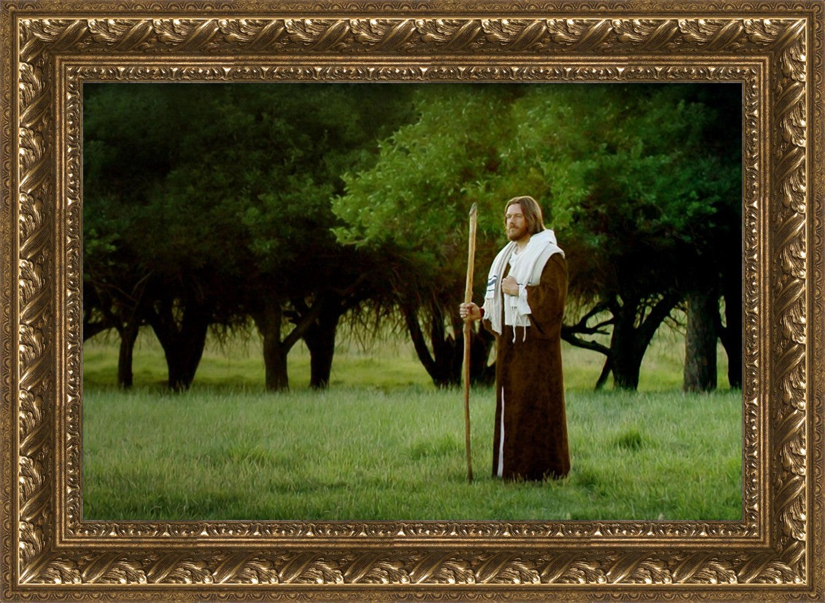 Lord Of The Vineyard