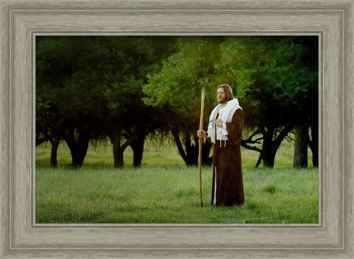 Lord Of The Vineyard