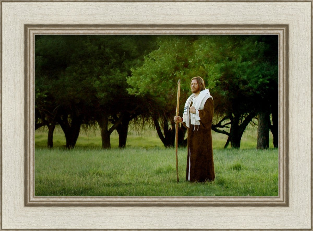 Lord Of The Vineyard