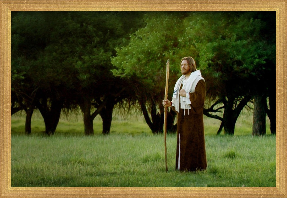 Lord Of The Vineyard