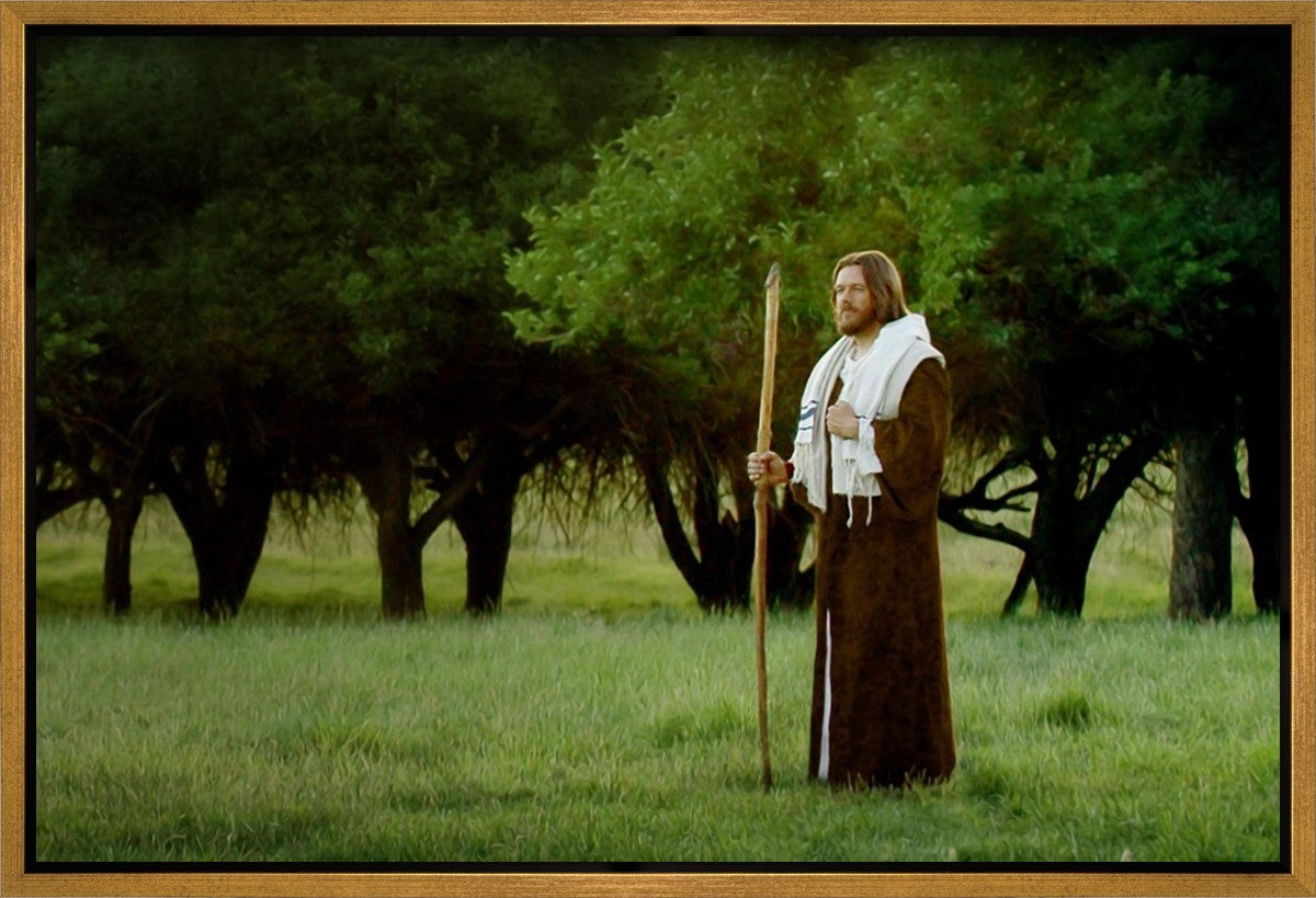 Lord Of The Vineyard