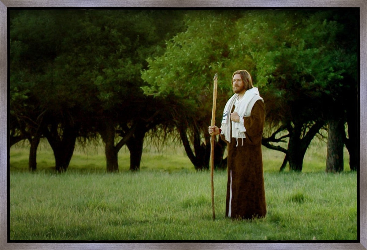 Lord Of The Vineyard