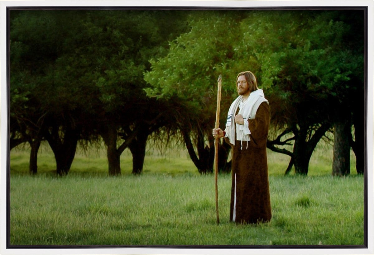 Lord Of The Vineyard