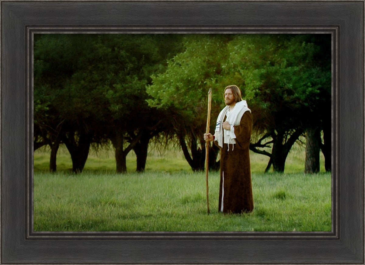 Lord Of The Vineyard