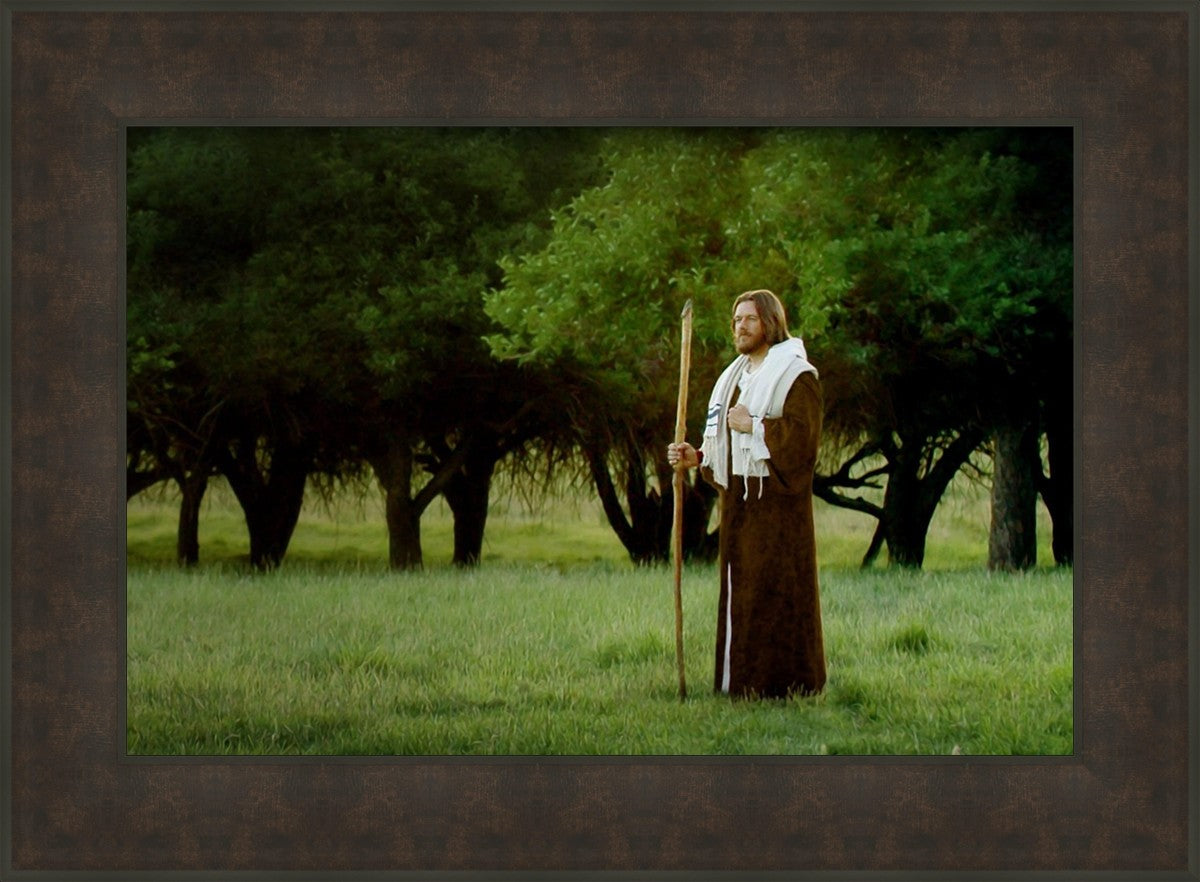 Lord Of The Vineyard