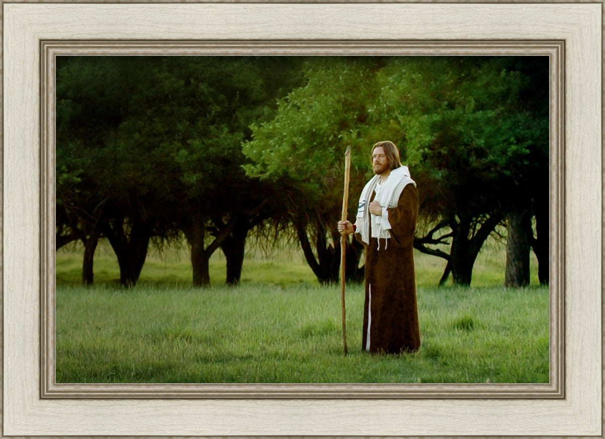 Lord Of The Vineyard