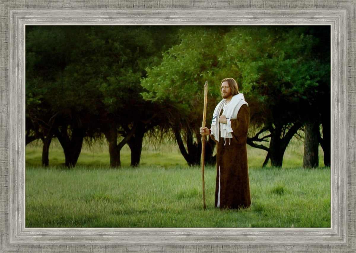 Lord Of The Vineyard