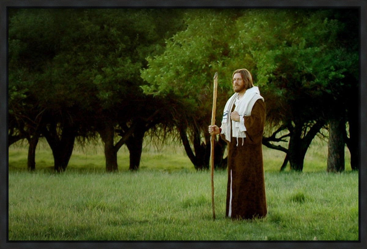 Lord Of The Vineyard