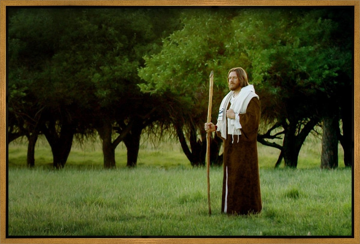 Lord Of The Vineyard