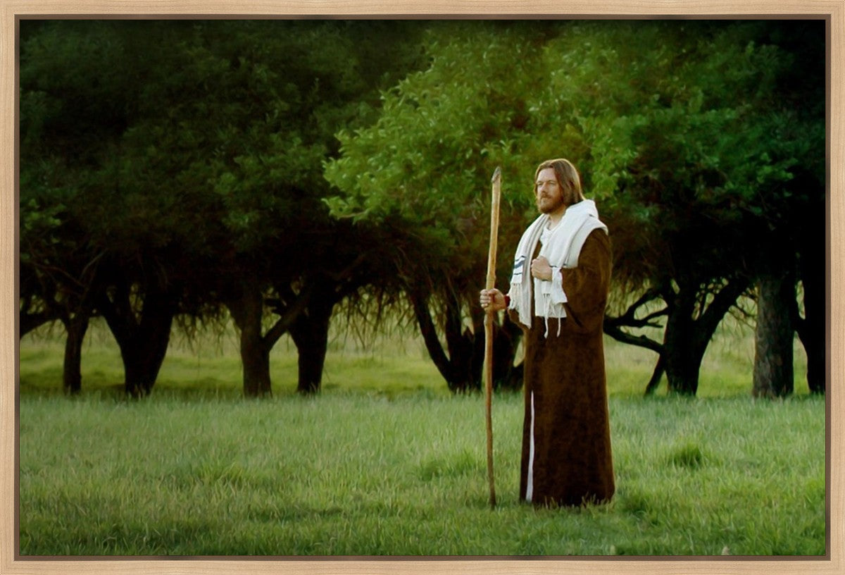 Lord Of The Vineyard