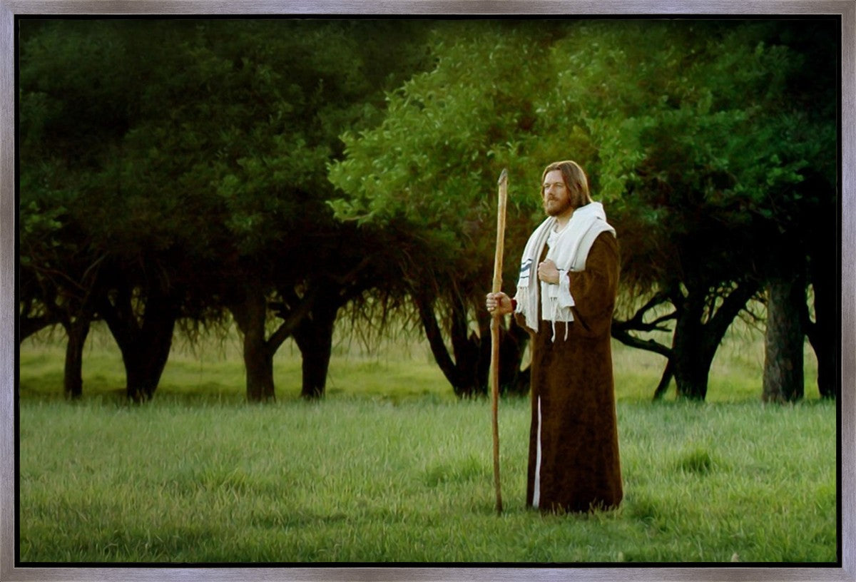 Lord Of The Vineyard