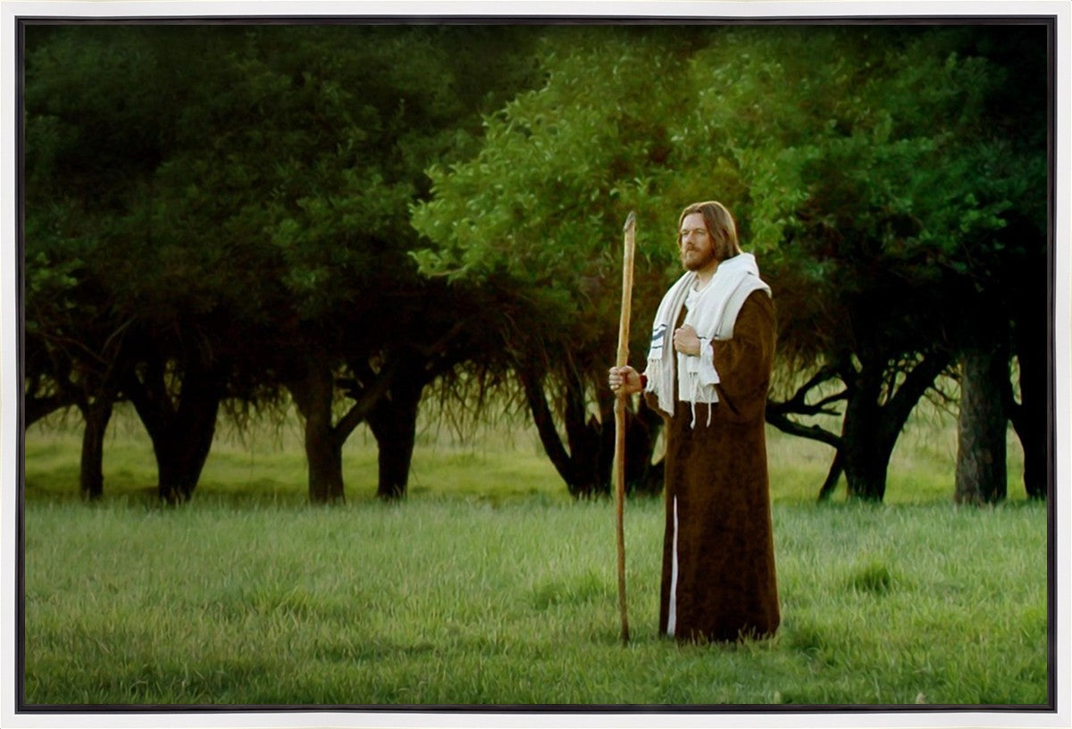 Lord Of The Vineyard