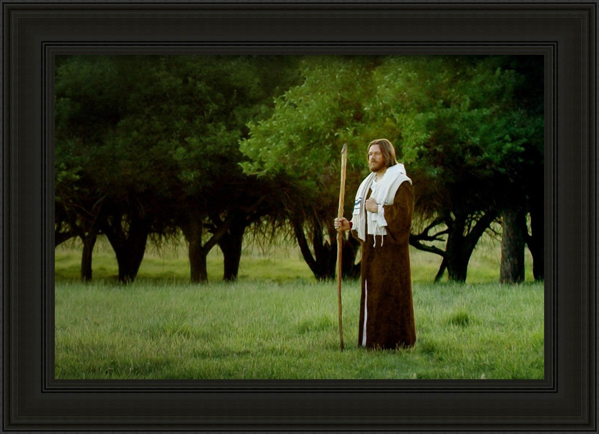 Lord Of The Vineyard