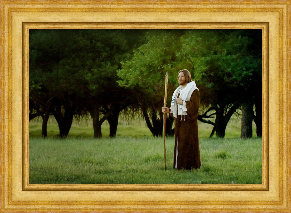 Lord Of The Vineyard