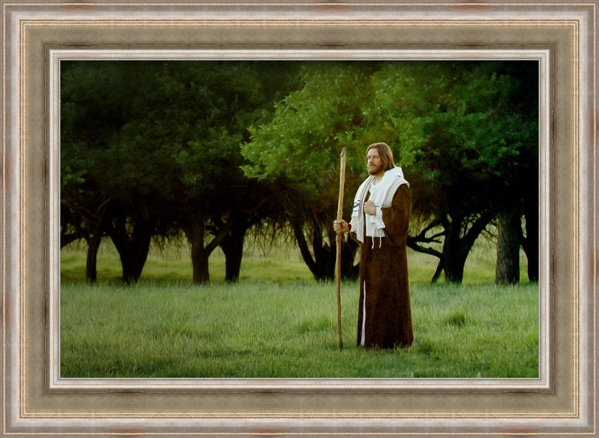 Lord Of The Vineyard