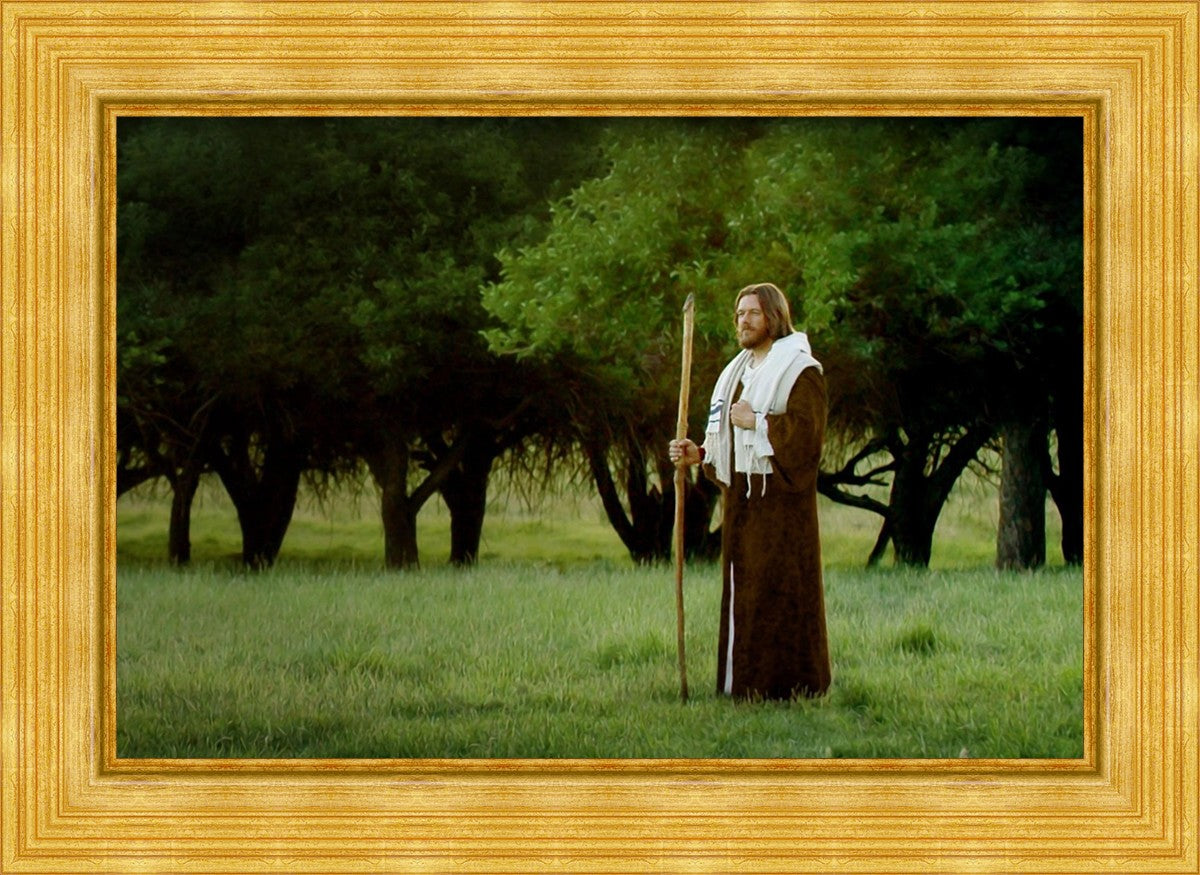 Lord Of The Vineyard