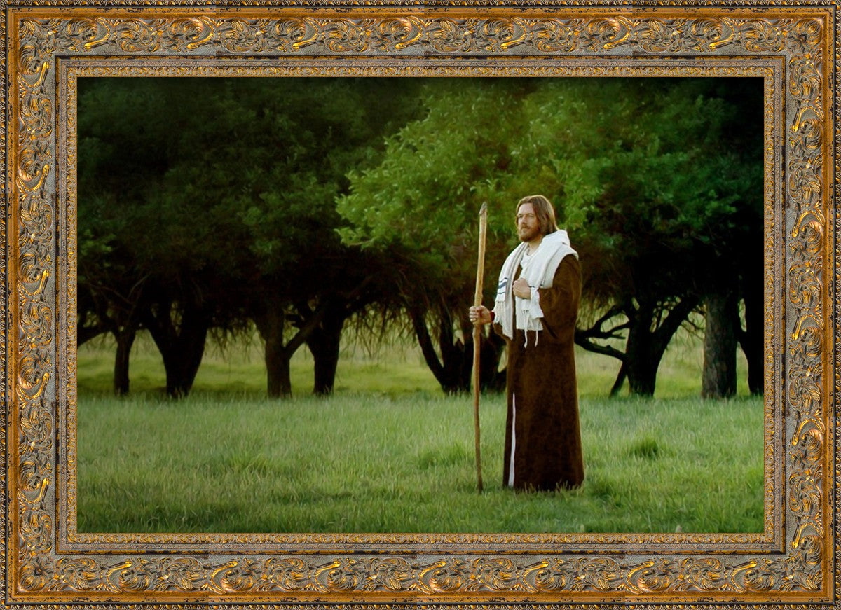 Lord Of The Vineyard