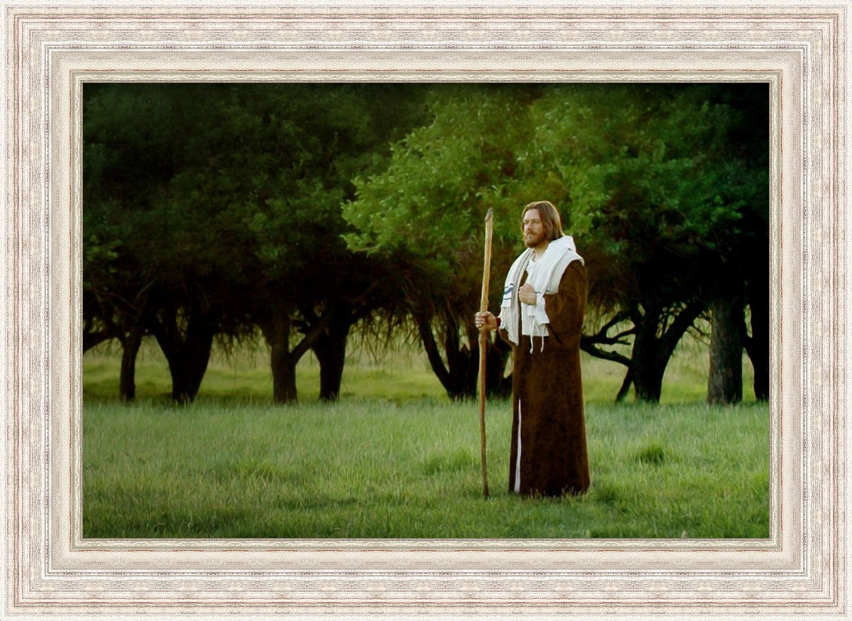 Lord Of The Vineyard