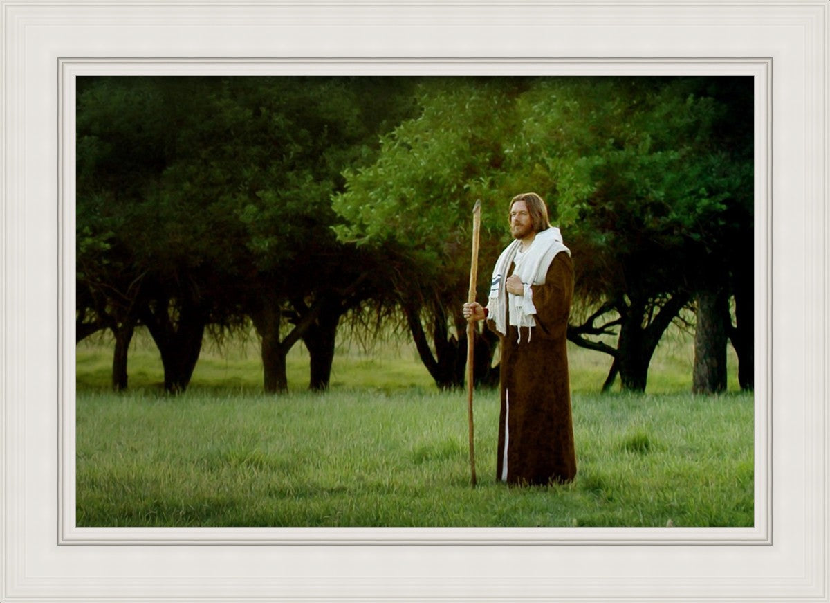 Lord Of The Vineyard