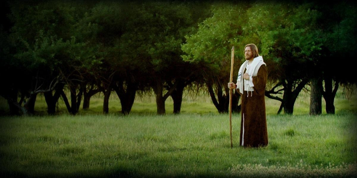 Lord Of The Vineyard