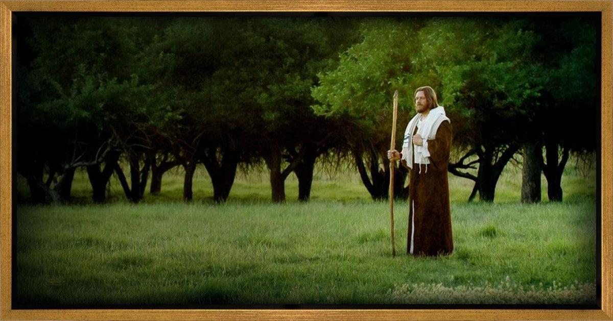 Lord Of The Vineyard