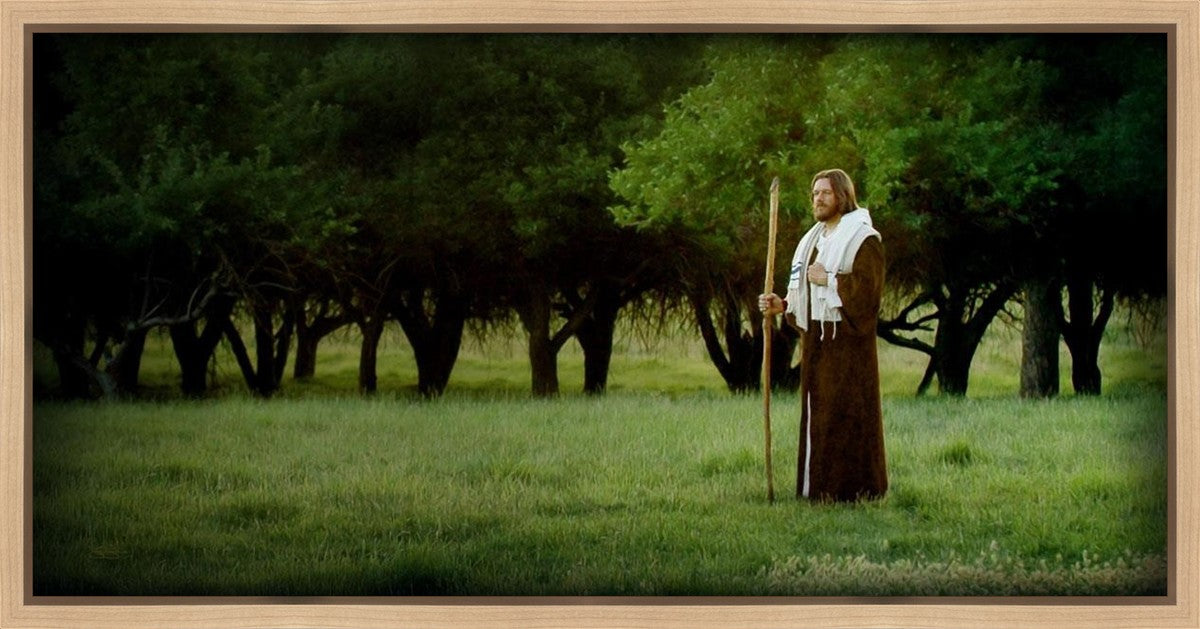 Lord Of The Vineyard