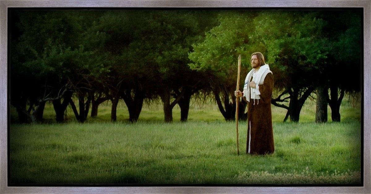 Lord Of The Vineyard