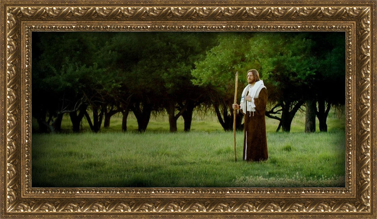 Lord Of The Vineyard