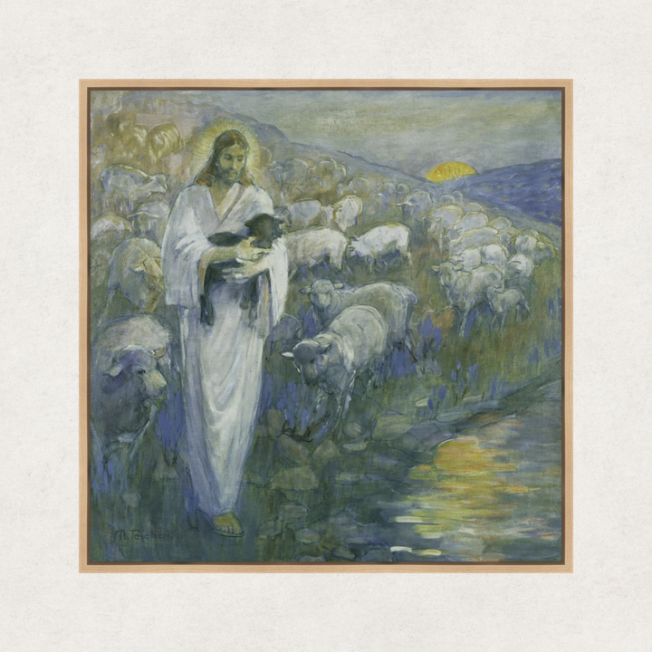 Rescue of The Lost Lamb