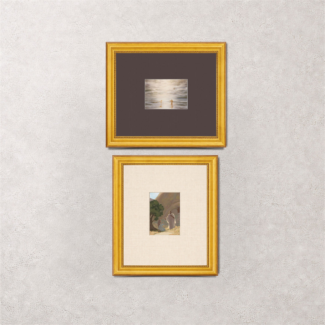 The Light & Path Series