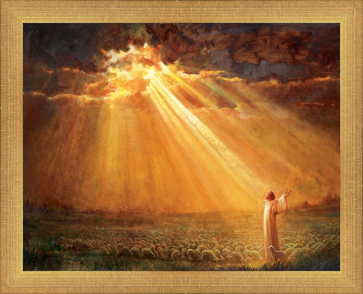 Rejoice in His Light