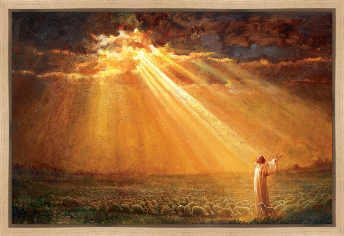 Rejoice in His Light