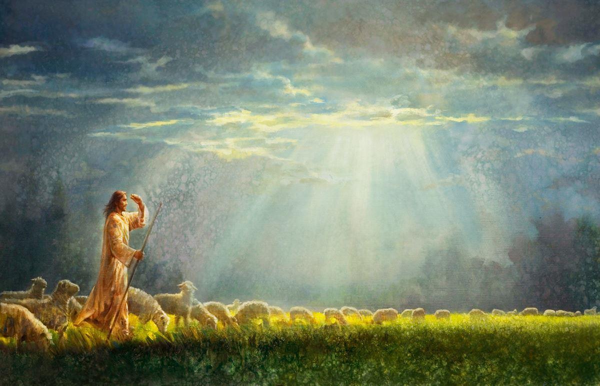 One Fold and One Shepherd Original Artwork