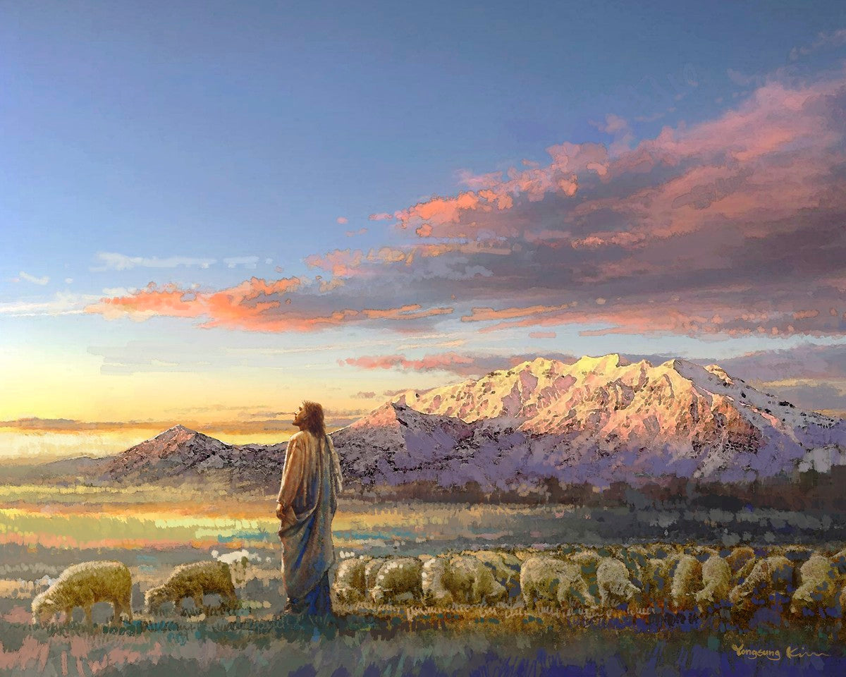 All His Majesty is a painting that depicts Jesus Christ with His flock of sheep near the mountains - Yongsung Kim | Havenlight | Christian Artwork