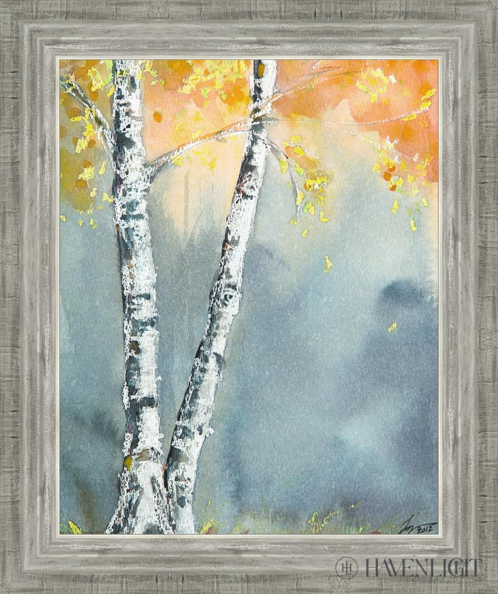 Aspen Fog Open Edition Print / 16 X 20 Silver 3/4 24 Art