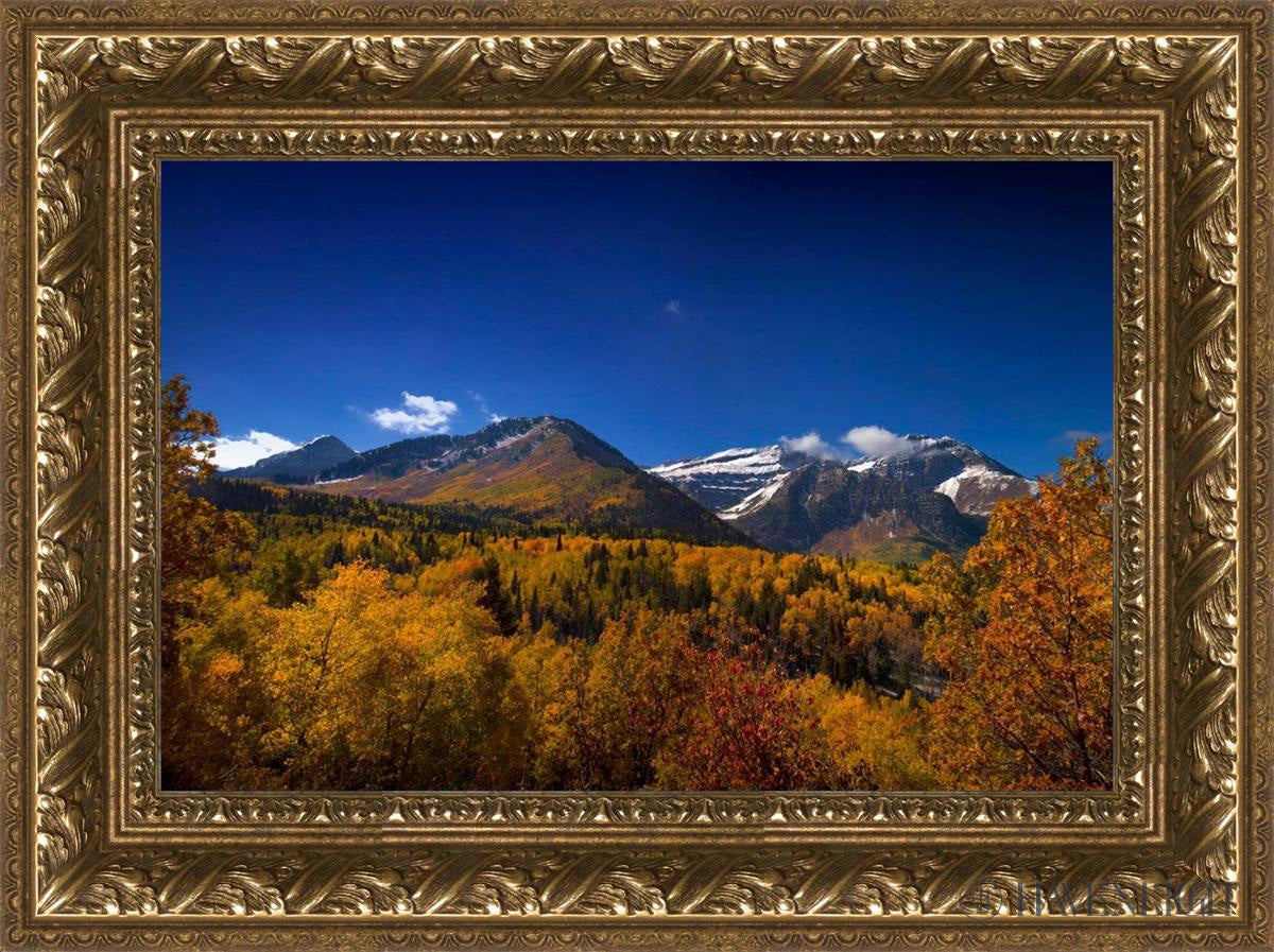Back Side Of Timpanogos Open Edition Canvas / 18 X 12 Gold 23 3/4 17 Art