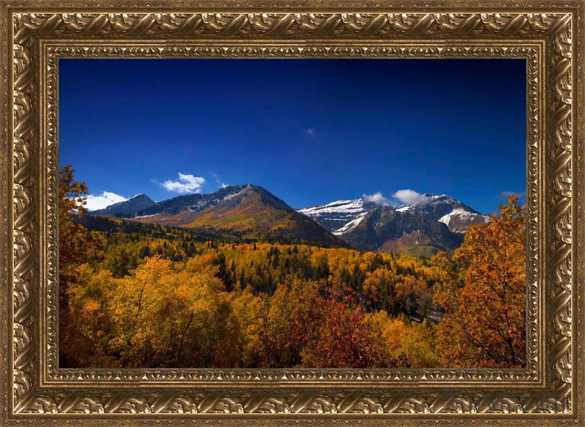 Back Side Of Timpanogos Open Edition Canvas / 24 X 16 Gold 29 3/4 21 Art