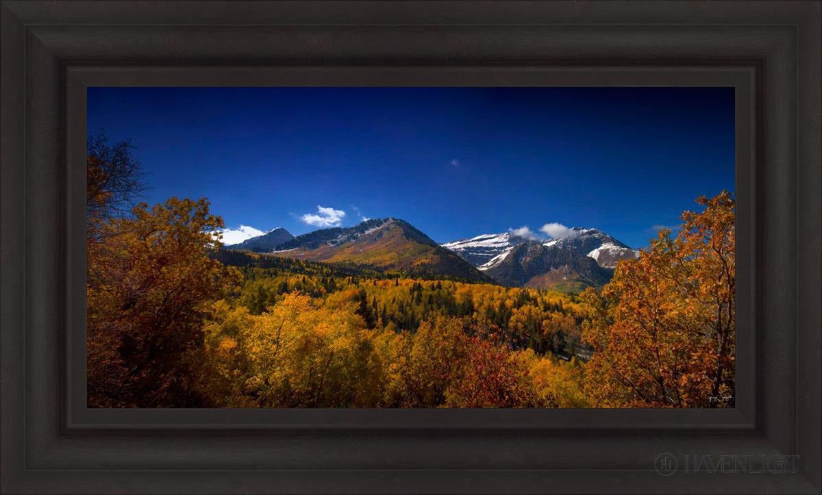 Back Side Of Timpanogos Open Edition Canvas / 30 X 15 Brown 37 3/4 22 Art