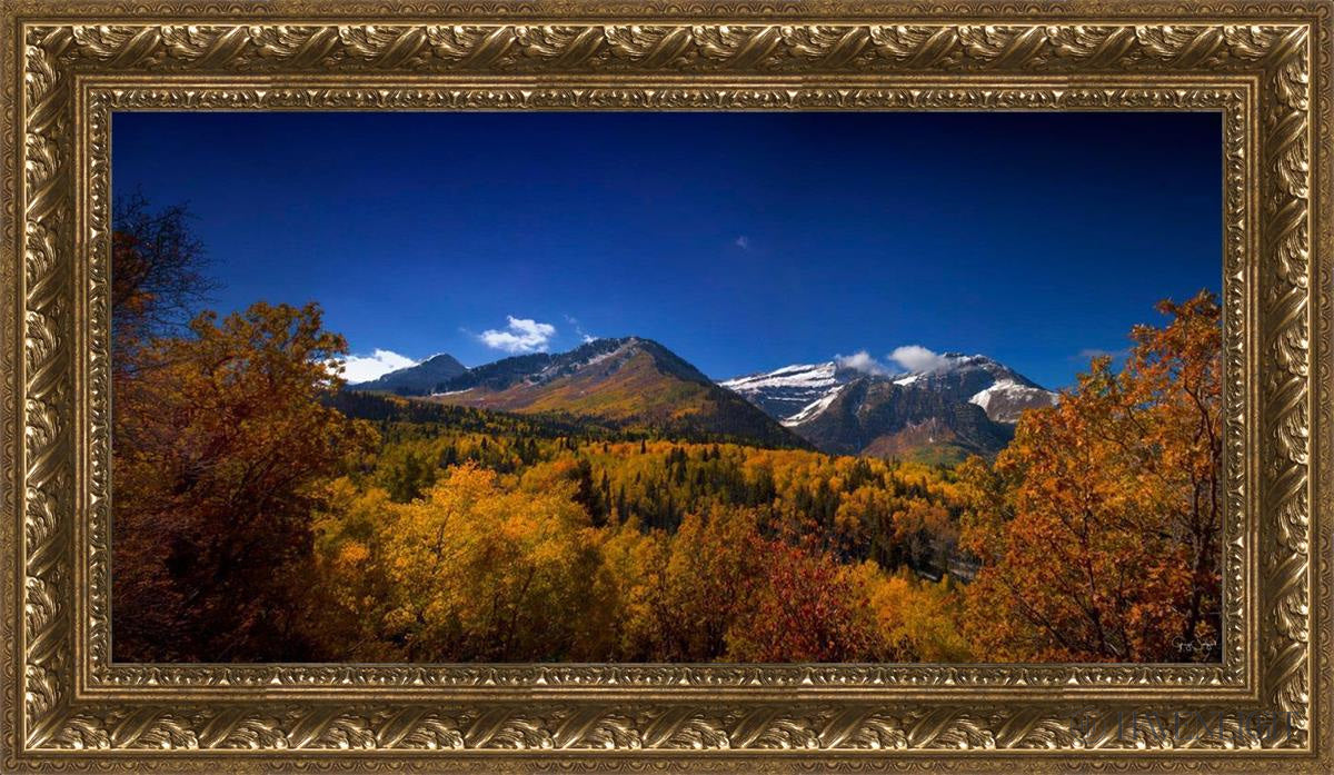 Back Side Of Timpanogos Open Edition Canvas / 30 X 15 Gold 35 3/4 20 Art