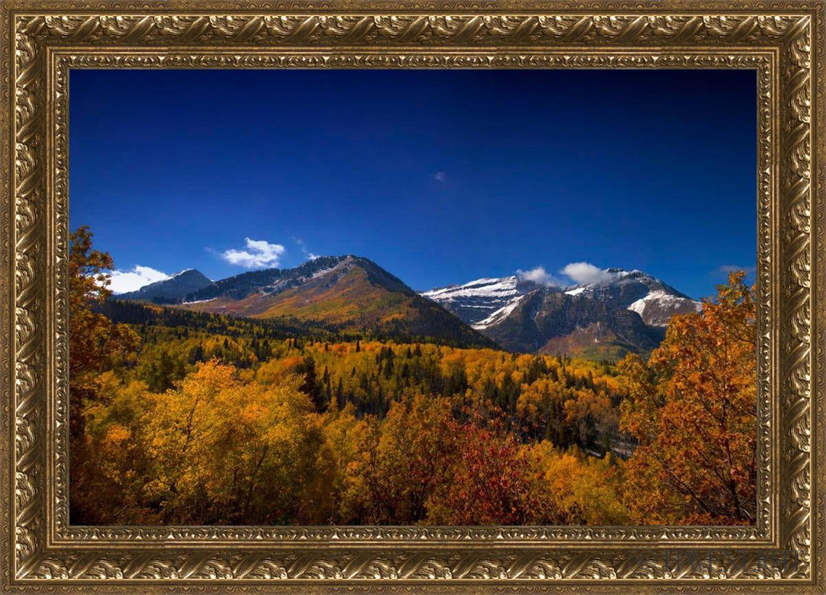 Back Side Of Timpanogos Open Edition Canvas / 30 X 20 Gold 35 3/4 25 Art