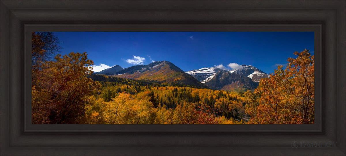 Back Side Of Timpanogos Open Edition Canvas / 36 X 12 Brown 43 3/4 19 Art
