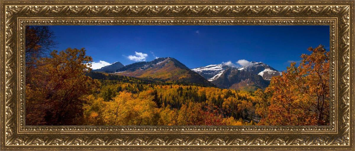 Back Side Of Timpanogos Open Edition Canvas / 36 X 12 Gold 41 3/4 17 Art