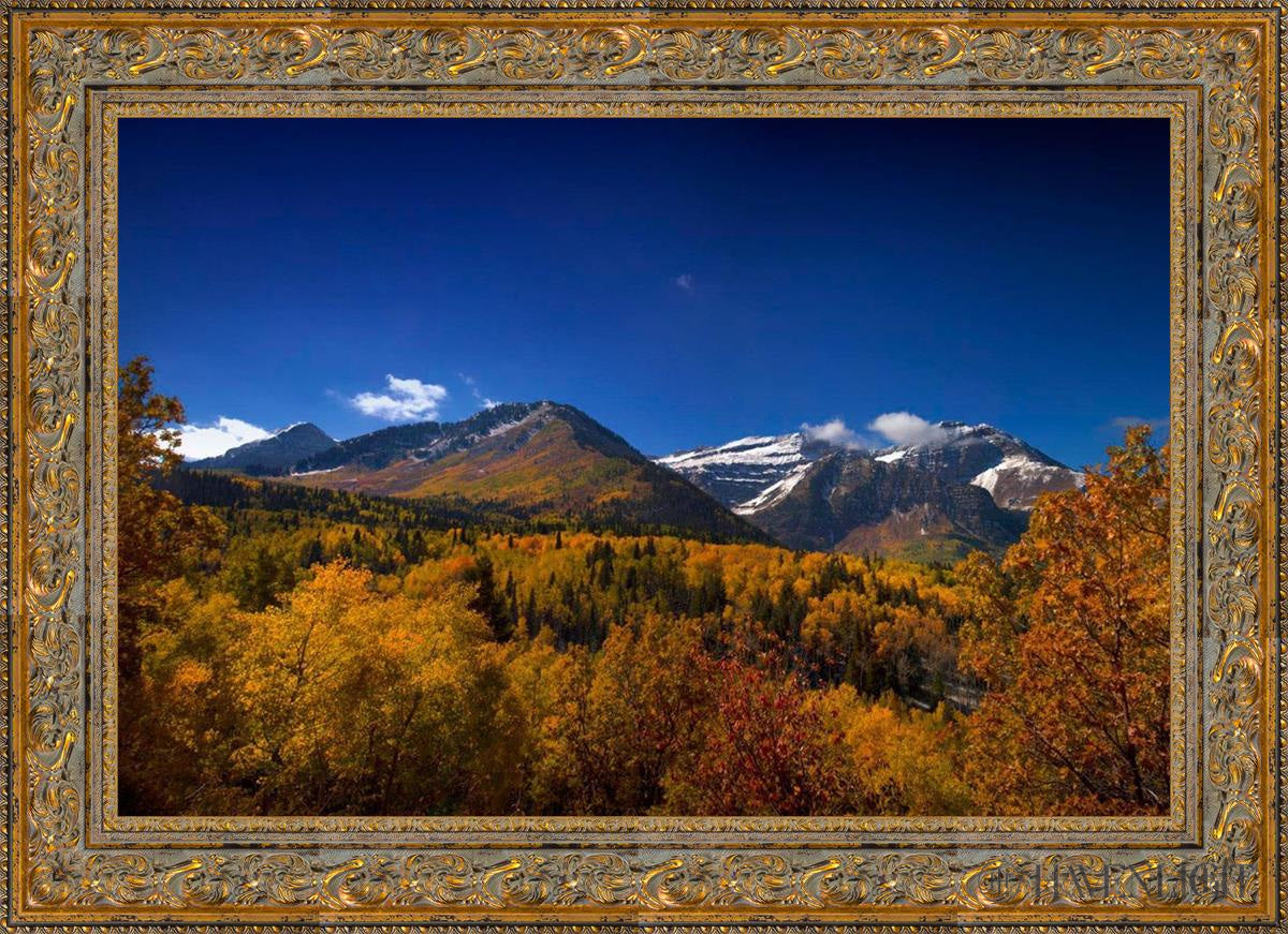 Back Side Of Timpanogos Open Edition Canvas / 36 X 24 Gold 43 3/4 31 Art