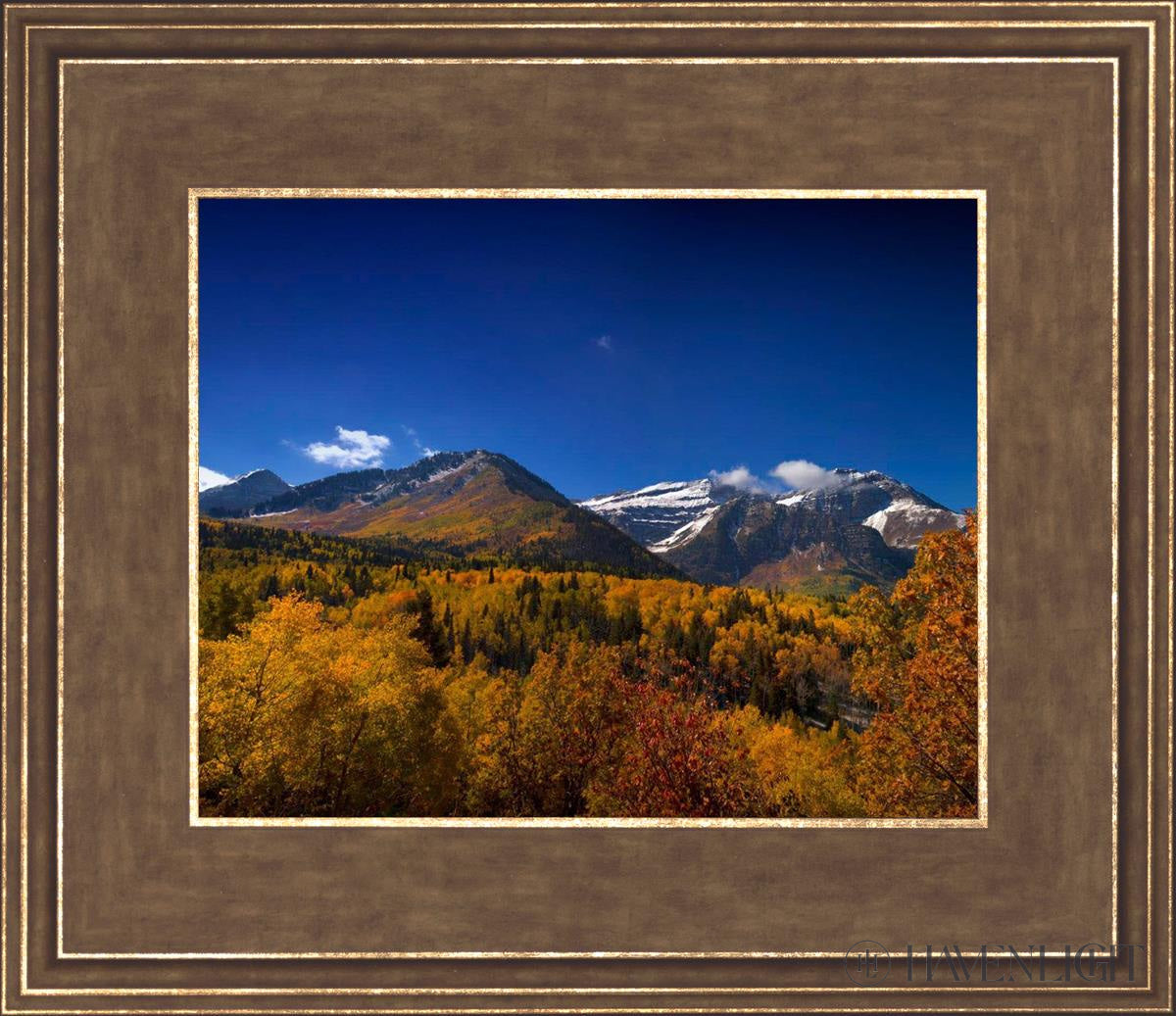 Back Side Of Timpanogos Open Edition Print / 10 X 8 Gold 14 3/4 12 Art