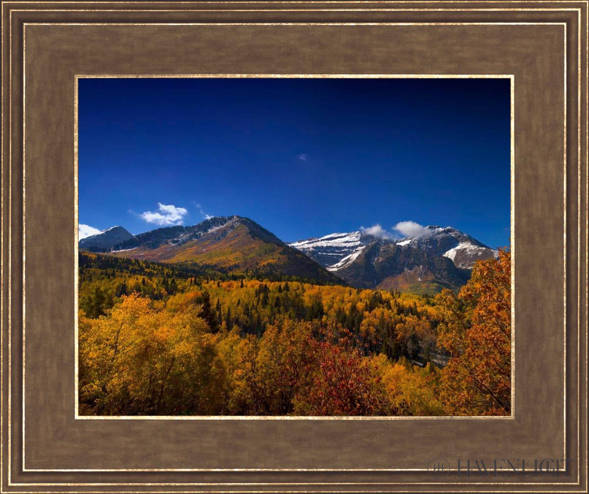 Back Side Of Timpanogos Open Edition Print / 14 X 11 Gold 18 3/4 15 Art