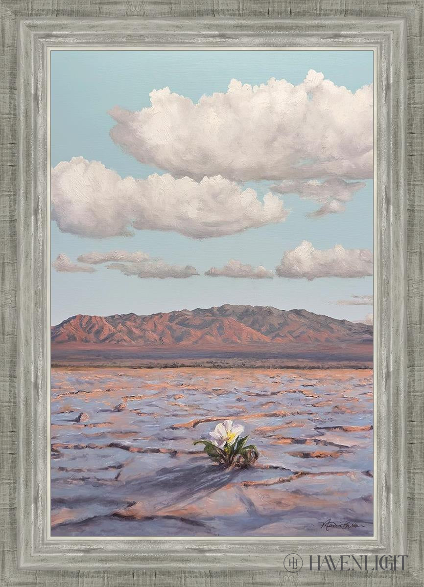 Bloom Where You Are Planted Open Edition Canvas / 16 X 24 Silver 20 3/4 28 Art