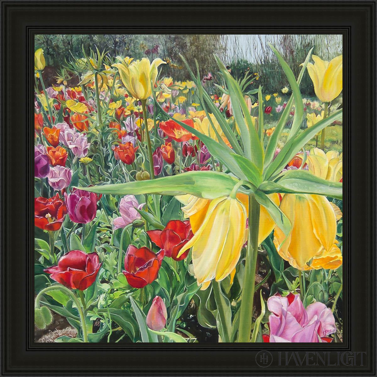 Carousel Tulips Open Edition Canvas / 36 X Black 43 3/4 Art