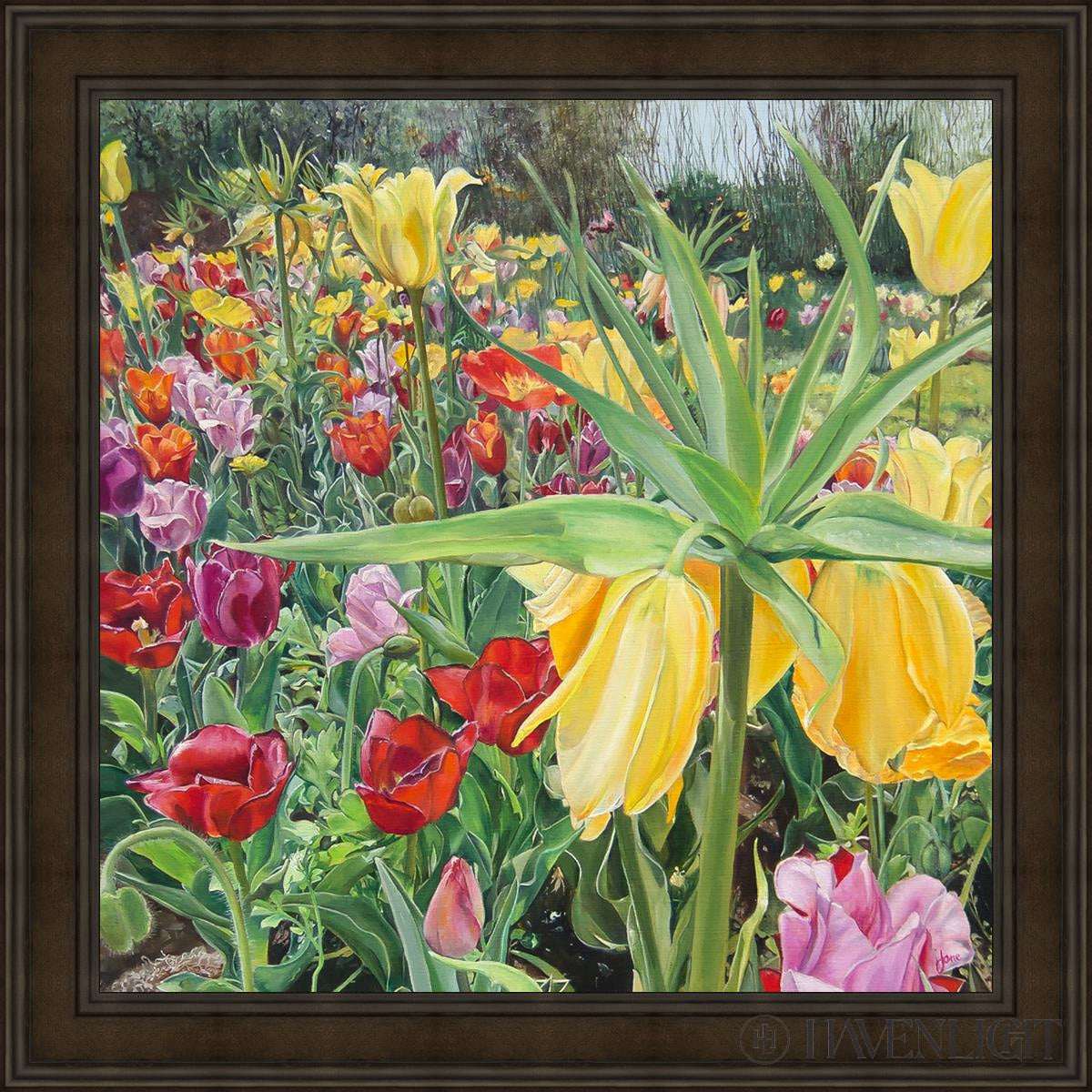Carousel Tulips Open Edition Canvas / 36 X Brown 43 3/4 Art